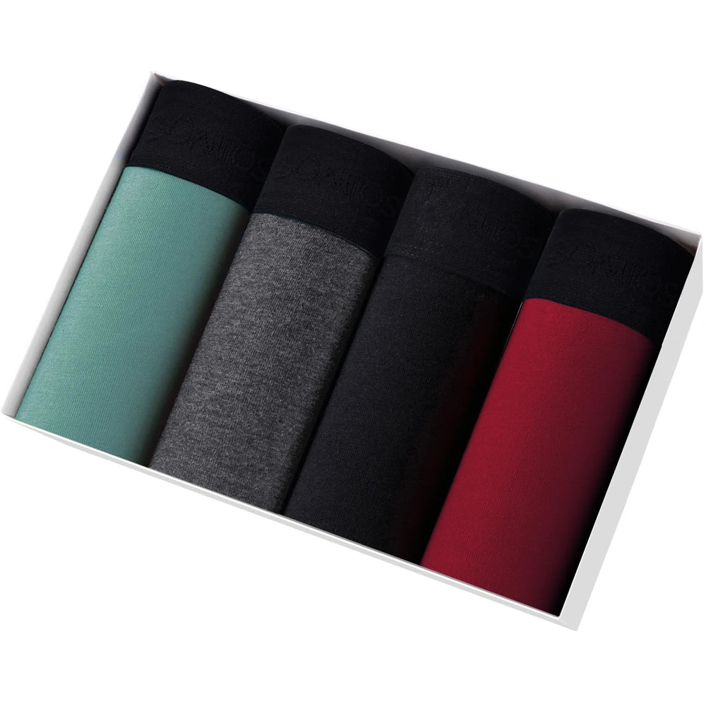 4pcs Boxer Shorts Men's Panties Homme Underpants Boxershorts